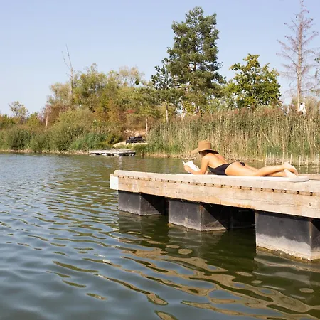 Les Etangs De La Bassée