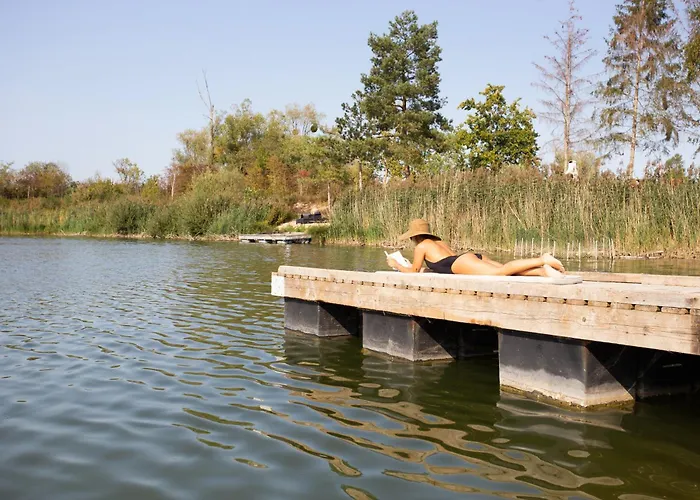 Les Etangs De La Bassee